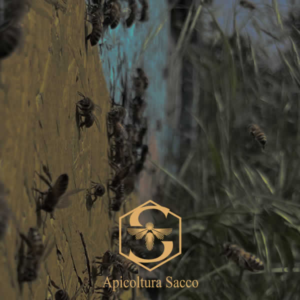 Apicoltura Sacco